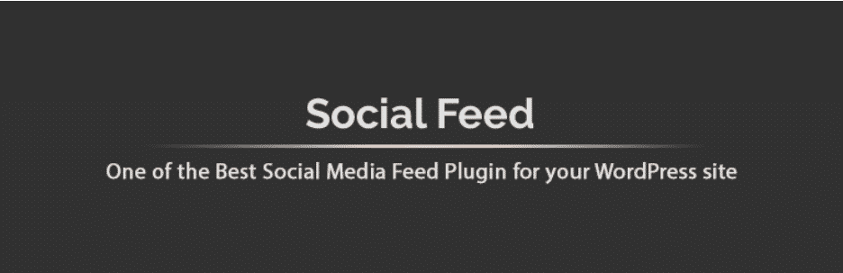 Social Feed WordPress